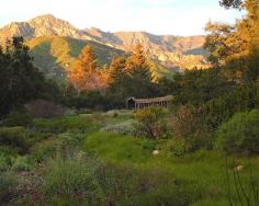 Pico Iyer's Santa Barbara - one of my favorite travel writers reveals what he loves about Santa Barbara