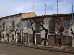 By Pablo – Where do you live? – Among the trees!