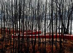 Courtesy of Turenscape