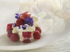 sydney restaurants pics photos images cafes food bars quay restaurant australia london