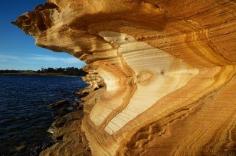 Tasmanië-The Painted Cliffs, Maria Island. Op dit eiland kun je geweldig fietsen, huur een mountainbike en kies je route, bv. van Darlington naar Haunted Bay