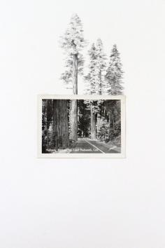 Beautiful hand-drawn extensions of vintage photos. By Spencer Studio