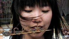 Whole scorpions on a stick in #China, while British burgers are one-third horse.