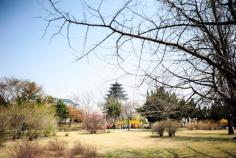 10 Things to do in Seoul