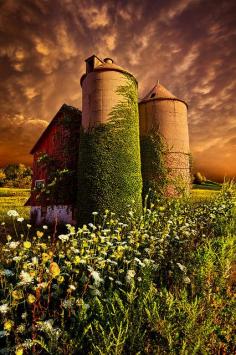 Stillness Of Dawn by Phil~Koch, via Flickr