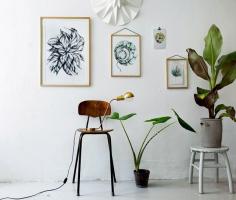 mystic Garden by sofie børsting..