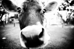 Welcome to The Rusty Spoon