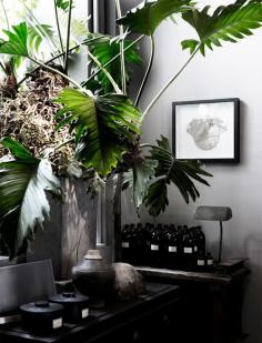 Interior design — Designspiration