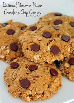 Jo and Sue: Oatmeal Pumpkin Pecan Chocolate Chip Cookies