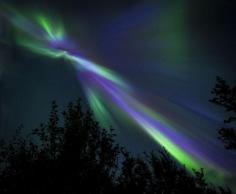 Northern Light Corona