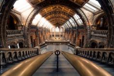 Natural Museum of History, London
