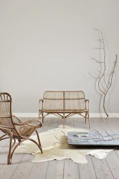 haymes colour forecast 2015..