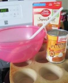 Healthy Weight Watchers Pumpkin Spice Muffins
