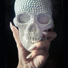 Bits, Pieces & Slices of Life