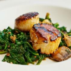 seared scallops