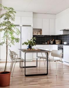 fisherman's harbour by time of the aquarius..