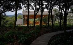 Innisfree Café, Jeju Island, South Korea