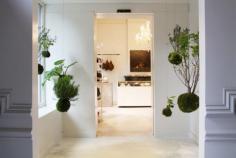 Boxy Fine Foods Take Away Catering, Ghent, plants 2