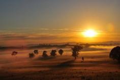 
                        
                            Booroowa, NSW, Australia
                        
                    