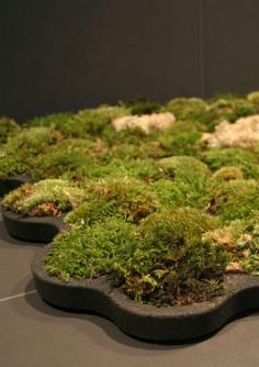 
                        
                            Moss Carpet by Nguyen La Chanh » Yanko Design
                        
                    