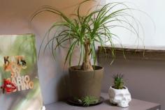 Snog Productions' Magical Garden Workspace