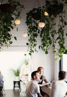 Lots of trailing plants overhead add a strong sense of atmosphere.