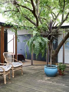 
                        
                            Habbot shoes, designed in Melbourne and handcrafted in Italy. Photo – Sean Fennessy for thedesignfiles.net
                        
                    