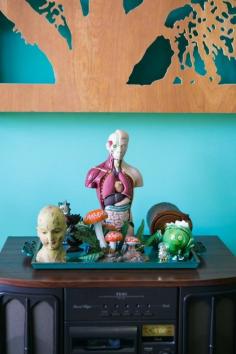 Humorous Advice for Creating a Unique & Peaceful Home Haven