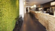 freund wandbegrünung - Google-Suche