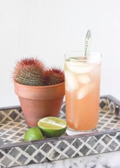 agua de frutas vodka soda cocktail