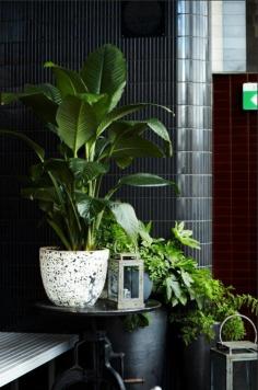 
                    
                        'Upstairs' - The Beresford Hotel  Sibella Court
                    
                