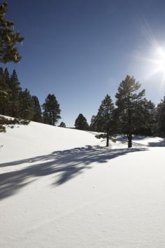 travels.  photo by tina of the unprocess