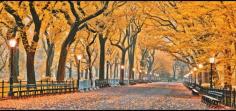 NEW YORK AUTUMN DREAMS