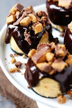 
                    
                        Reese's Peanut Butter Chocolate Mini Cheesecakes
                    
                