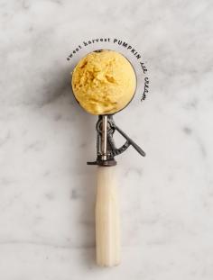 
                    
                        Sweet Harvest Pumpkin Ice Cream
                    
                