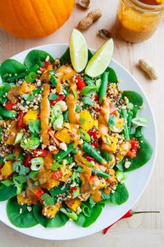 
                        
                            Roasted Pumpkin and Green Bean Quinoa Salad in Thai Peanut Dressing
                        
                    