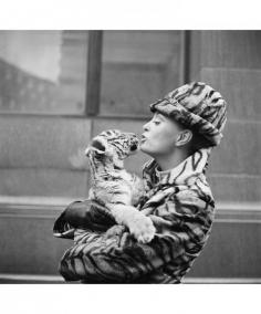 Tiger Lady &amp; Cub 12cm x 16cm by Getty Images on secretsales.com