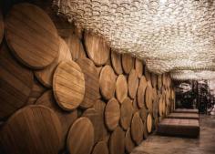 
                    
                        Shustov Brandy Bar by Denis Belenko Design Band
                    
                