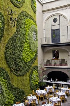 
                    
                        Green Wall- Mexico City | moschultz
                    
                