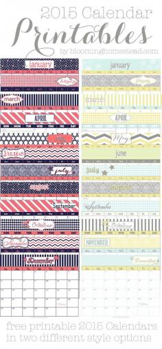 
                    
                        2015 Calendar Printables for free download available in 2 design/color styles.  Let's get organized!
                    
                