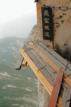 
                    
                        The magnificent trail of life or death Read more:  niceartlife.com/...
                    
                