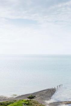 
                    
                        Kangaroo Island's Bay of Shoals.
                    
                