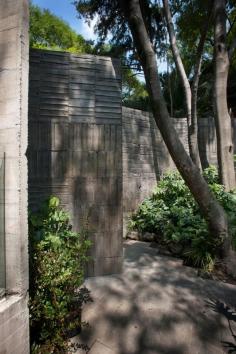 
                    
                        Elena Garro Cultural Center
                    
                