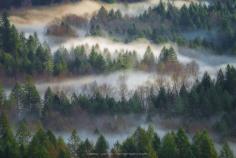 
                    
                        Avenue of the Clouds
                    
                