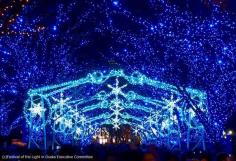 
                    
                        Christmas Illumination in Osaka, Japan
                    
                