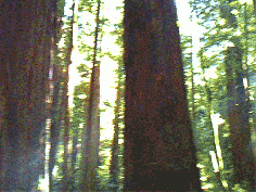 
                    
                        | 13 Things Every American Should Experience At Least Once
                    
                