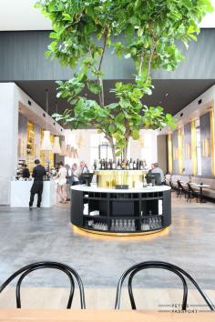 
                    
                        deplantageamsterdamportrait2
                    
                