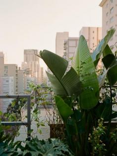 
                    
                        Brian Ferry in Sao Paulo for Dwell
                    
                
