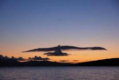 
                    
                        Bird Cloud
                    
                