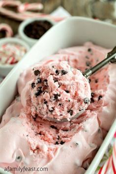 
                    
                        NO-CHURN PEPPERMINT CHIP ICE CREAM
                    
                